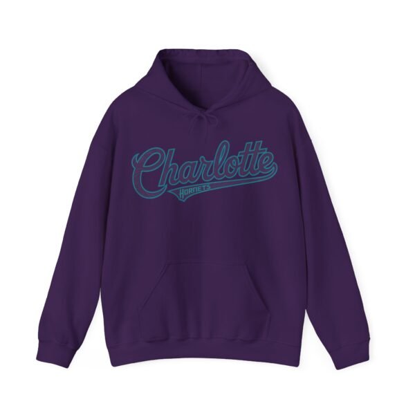Charlotte Hornets Hoodie