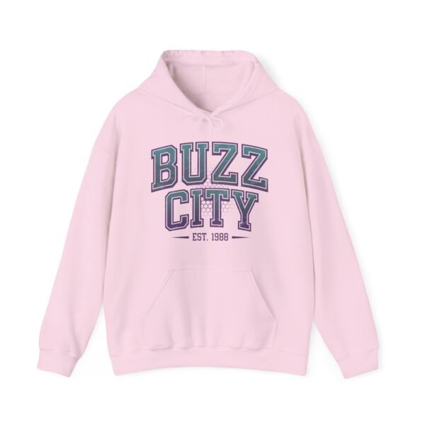 Charlotte Hornets Hoodie - Buzz City