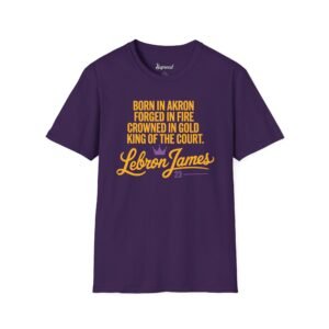 Lebron James T Shirt - Born in Akron King of the Court
